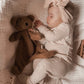 Little Teddy Comforter Toy