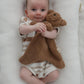 Little Teddy Comforter Toy