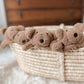 Little Teddy Comforter Toy