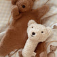 Little Teddy Rattle Toy