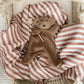 Little Teddy Comforter Toy