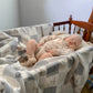 Wright Flyer Swaddle
