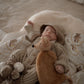 Squeaky the Sweet Comforter Toy